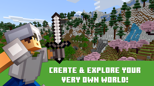 Minecraft: Dream it, Build it!